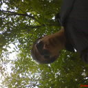  ,   DRACON963, 34 ,   ,   , c 