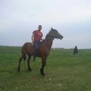 ���������� ���������, ���� ������� ������, 41 ���, ������������ ��� ������, ����� � ���������