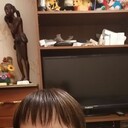 ���������� �����, ���� ������� �������, 29 ���, ������������ ��� ������, ���������