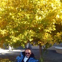  ,   Ren, 66 ,   