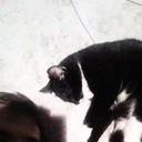 ���������� ������, ���� ������� ������, 34 ����, ������������ 