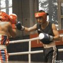  ,   BOXER777, 37 ,   