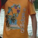 ���������� ��������, ���� ������� ������, 34 ����, ������������ ��� ������, ����� � ���������, c�������� ���������