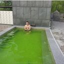  Yesan,   , 31 ,   ,   , c , 