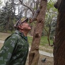 ���������� ������, ���� ������� ����������, 60 ���, ������������ 