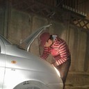 ���������� �������, ���� ������� �����, 33 ����, ������������ ��� ������