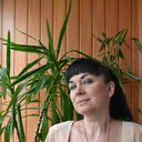  ,   , 54 ,  