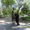 ���������� �������, ���� ������� ����, 42 ����, ������������ ��� ������, ����� � ���������, c�������� ���������