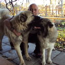 ���������� ������, ���� ������� ����, 55 ���, ������������ ��� ������