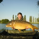  -,   , 41 ,   ,   , c 