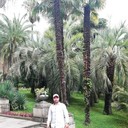 ���������� ������, ���� ������� ������, 39 ���, ������������ ��� ������, ����� � ���������, c�������� ���������