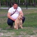 ���������� �������, ���� ������� ���������, 49 ���, ������������ ��� ������, ����� � ���������