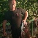  ,   , 41 ,  