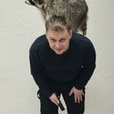 ���������� ����, ���� ������� �����, 29 ���, ������������ ��� ������, ����� � ���������, c�������� ���������