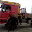  --,   Velder, 59 ,   