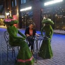 ���������� ��������, ���� ������� ������, 43 ����, ������������ ��� ������, ����� � ���������, c�������� ���������, ���������