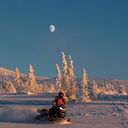 ���������� ������, ���� ������� ����, 41 ���, ������������ ��� ������, ����� � ���������