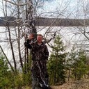 ���������� �����, ���� ������� �������, 38 ���, ������������ ��� ������, ����� � ���������, c�������� ���������