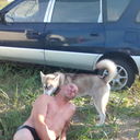 ���������� ����-���������, ���� ������� �����, 54 ����, ������������ ��� ������