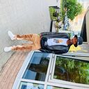  ,   Youze, 21 ,   ,   
