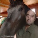 ���������� ������, ���� ������� ������, 55 ���, ������������ ��� ������, ����� � ���������, c�������� ���������, ���������