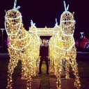 ���������� ����, ���� ������� Emin, 37 ���, ������������ ��� ������, ����� � ���������, c�������� ���������