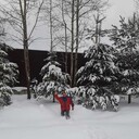 ���������� ���������, ���� ������� �������, 43 ����, ������������ ��� ������, ����� � ���������, c�������� ���������, ���������