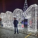 ���������� �����������, ���� ������� ���������, 46 ���, ������������ ��� ������, ����� � ���������, c�������� ���������