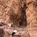 ���������� ���������, ���� ������� ����, 42 ����, ������������ ��� ������, ����� � ���������