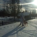  ,   , 52 ,   ,   , c , 