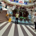 ���������� ������������, ���� ������� ����, 40 ���, ������������ ��� ������, ����� � ���������, c�������� ���������