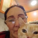 ���������� �����, ���� ������� �����, 72 ����, ������������ ��� ������, ����� � ���������