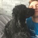 ���������� �����-���������, ���� ������� ����, 33 ����, ������������ ��� ������, ����� � ���������