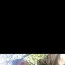 ���������� ��������, ���� ������� ������, 27 ���, ������������ 