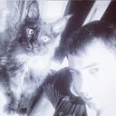 ���������� ����������, ���� ������� ���, 36 ���, ������������ ��� ������, ����� � ���������, c�������� ���������, ���������