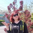 ���������� ��������, ���� ������� ������, 49 ���, ������������ ��� c�������� ���������