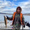 ���������� ����������, ���� ������� ����, 36 ���, ������������ ��� ������, ����� � ���������