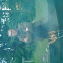  ,   9edi9, 50 ,   ,   , c 