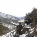  ,   Anton, 35 ,   ,   , c 