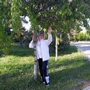 ���������� ���������, ���� ������� �������, 50 ���, ������������ ��� ������, ����� � ���������