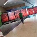 ���������� ��������, ���� ������� ����, 41 ���, ������������ ��� ������, ����� � ���������