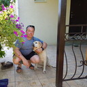  ,   , 54 ,   c 