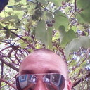  -,   , 36 ,   