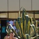 ���������� ������, ���� ������� ����, 41 ���, ������������ ��� ������, ����� � ���������, c�������� ���������, ���������