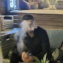 ���������� ���������, ���� ������� �����, 36 ���, ������������ ��� ������, ����� � ���������