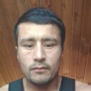  --,   , 37 ,   ,   