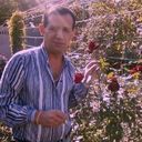 ���������� ������, ���� ������� ���� ������, 61 ���, ������������ ��� ������, ����� � ���������, c�������� ���������