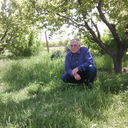 ���������� ������, ���� ������� AVETIS, 56 ���, ������������ ��� ������, ����� � ���������, c�������� ���������, ���������