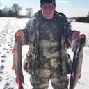 ���������� ������, ���� ����� ����, 23 ����, ������������ ��� ������, ����� � ���������, c�������� ���������