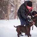 ���������� �����, ���� ������� ������, 58 ���, ������������ ��� ������, ����� � ���������